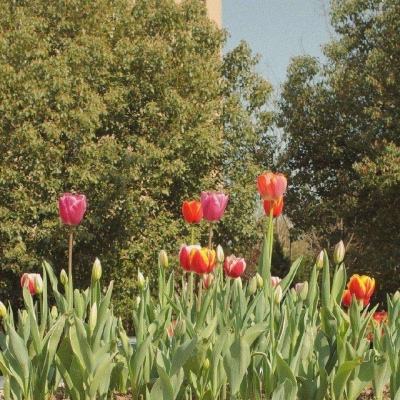 2023年新澳门今晚开特马下载手机版