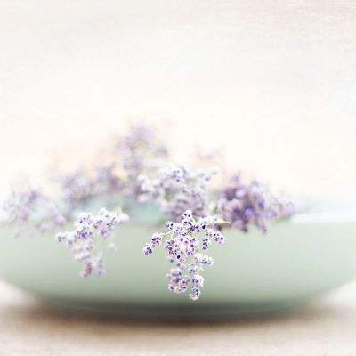 爱游戏手机客户端手机app下载