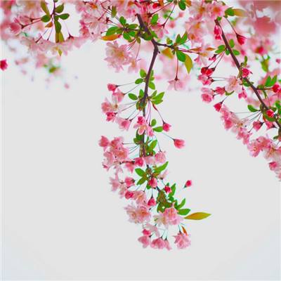 开云集团下载手机版截图